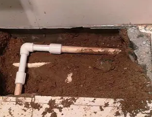 辰溪测漏水哪家好