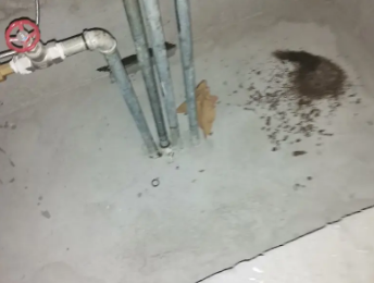 辰溪卫生间测漏水价格明细