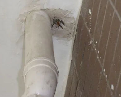 辰溪漏水检测哪家好